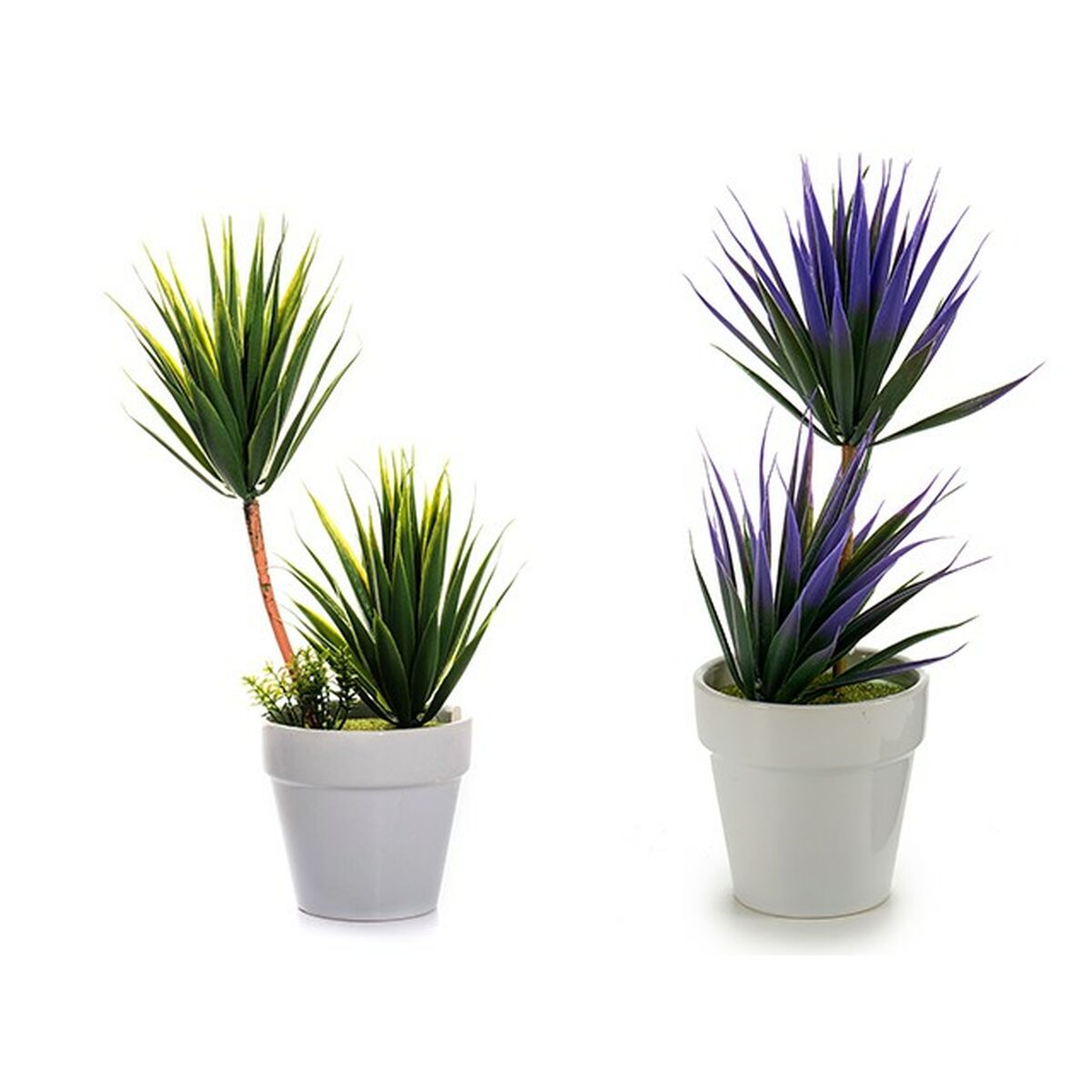 Decorative Plant Succulent Ceramic Plastic 10 x 30 x 10 cm (12 Units)