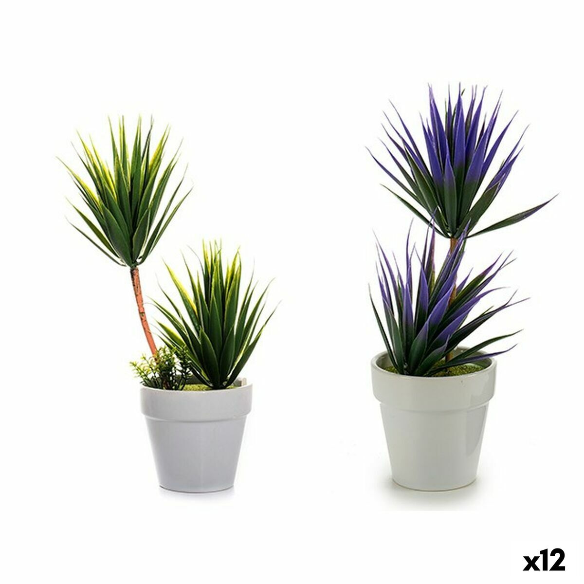 Decorative Plant Succulent Ceramic Plastic 10 x 30 x 10 cm (12 Units)