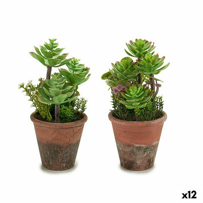 Decorative Plant Succulent Plastic 16 x 23 x 16 cm (12 Units)