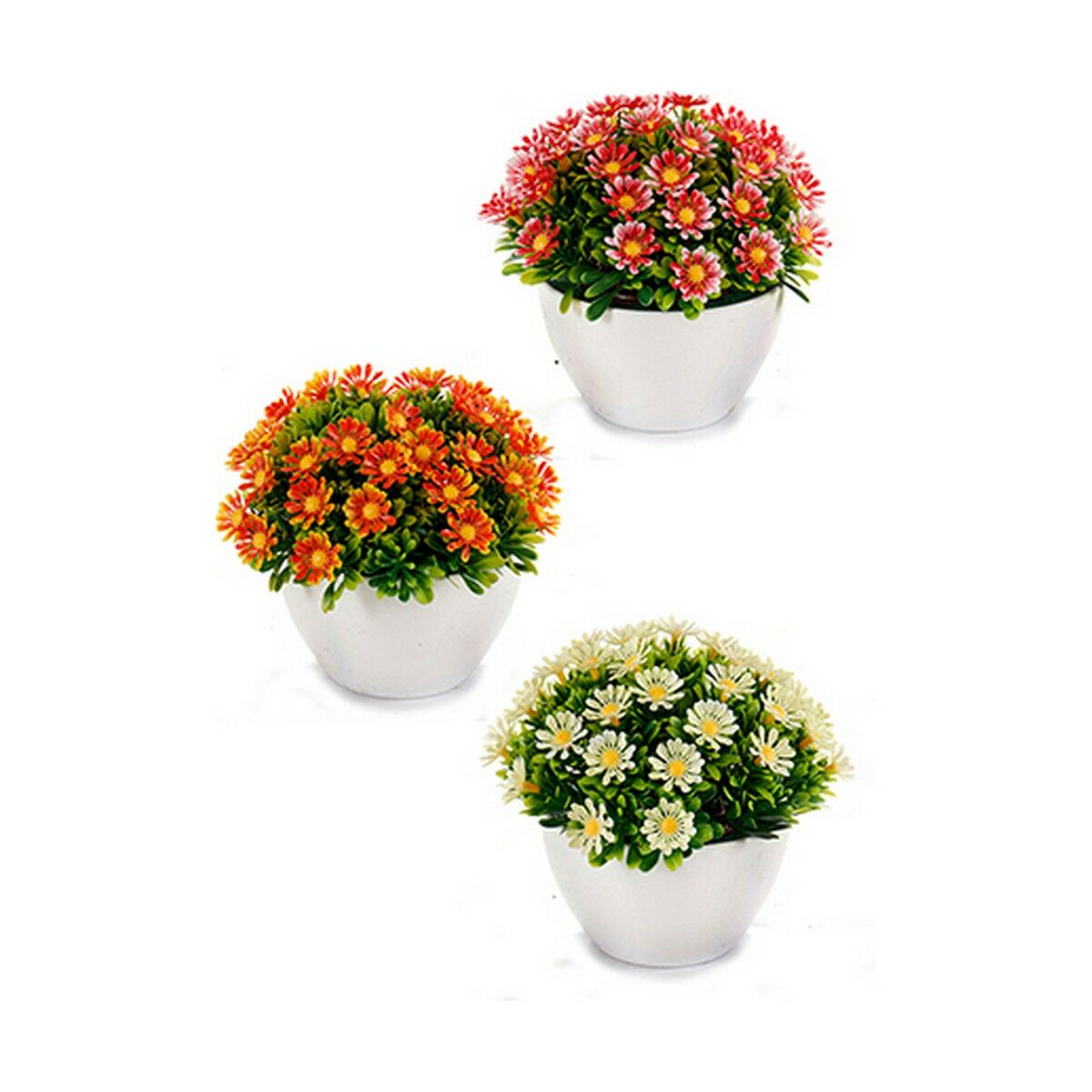 Decorative Plant Marguerite Plastic 14 x 13 x 14 cm (12 Units)