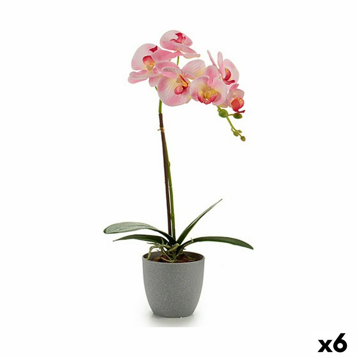 Decorative Plant Orchid Plastic 13 x 39 x 22 cm (6 Units)