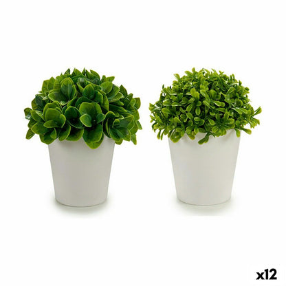 Decorative Plant Plastic 13 x 17 x 13 cm (12 Units)