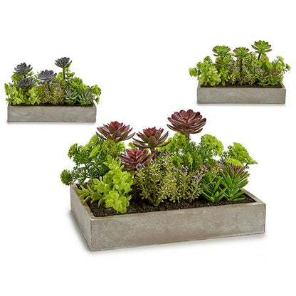 Decorative Plant Succulent Plastic Cement 16,5 x 20 x 28,5 cm (6 Units)