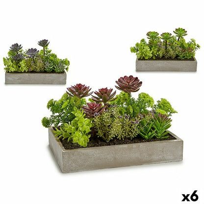 Decorative Plant Succulent Plastic Cement 16,5 x 20 x 28,5 cm (6 Units)