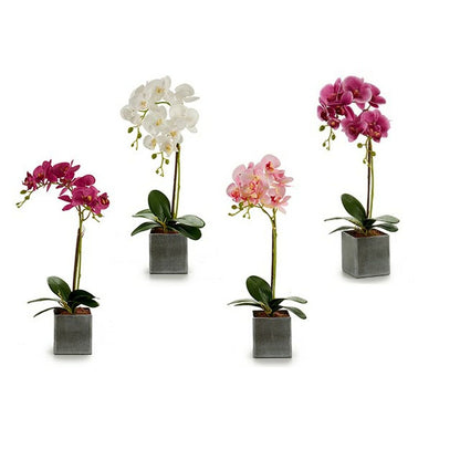 Decorative Flower Orchid Plastic 14 x 51 x 18 cm (6 Units)