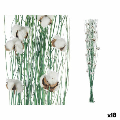 Bouquets Cotton Green 10 x 100 x 18 cm (18 Units)
